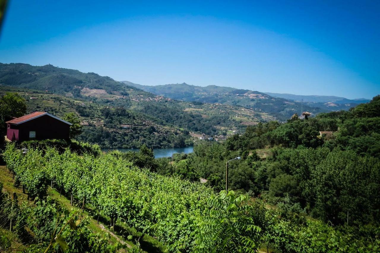 Casa Da Mouta - Douro Valley Baião Exterior photo