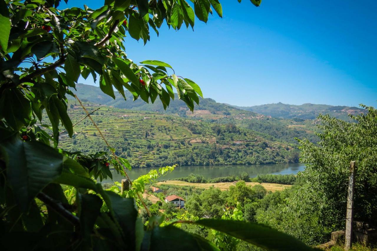Casa Da Mouta - Douro Valley Baião Exterior photo