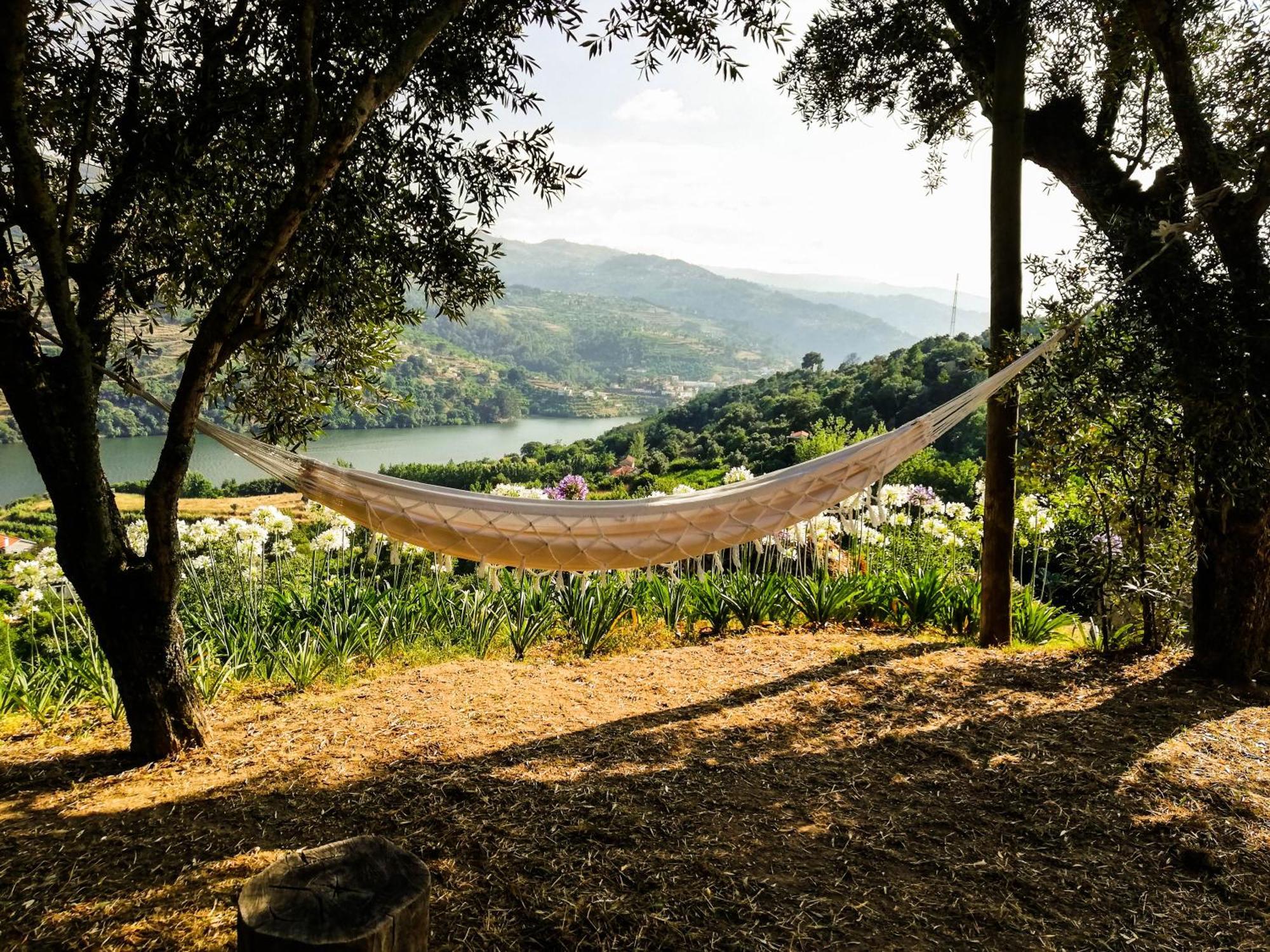 Casa Da Mouta - Douro Valley Baião Exterior photo
